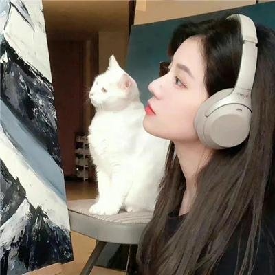 叠影惊情